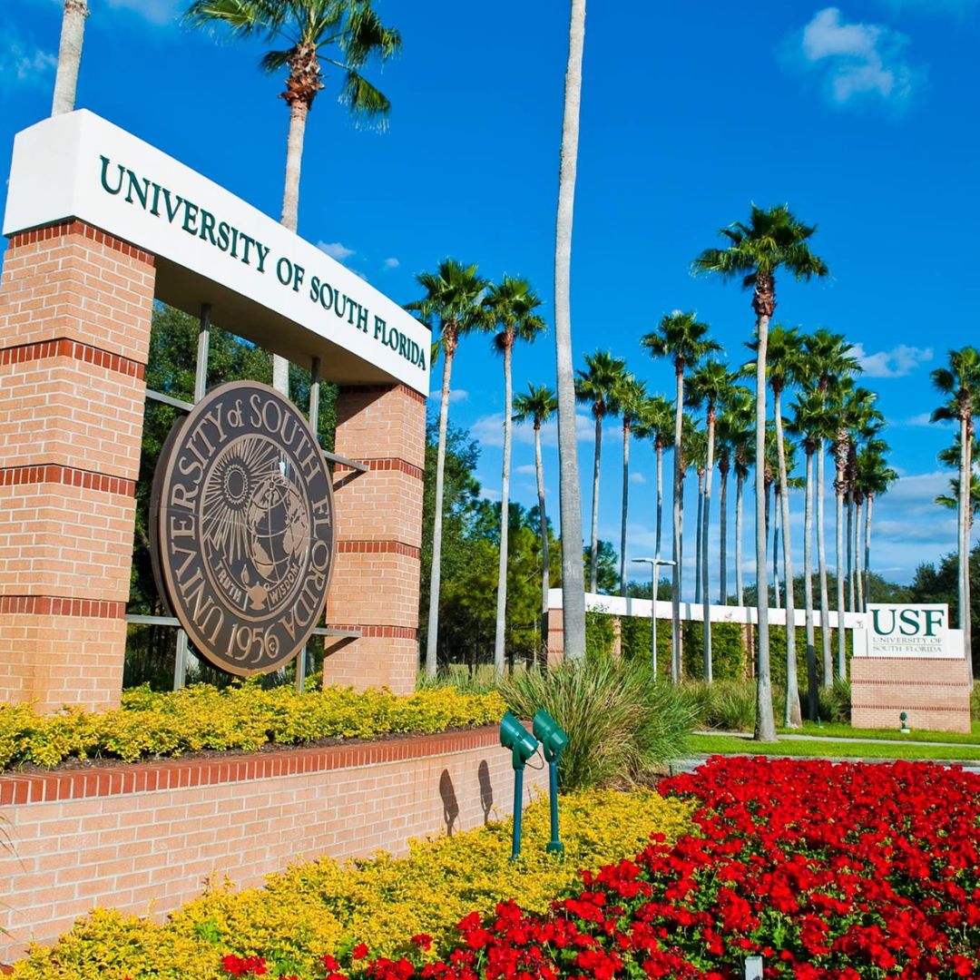 University of Florida sẽ mở kỳ tuyển sinh sớm Early Action vào mùa thu 2024